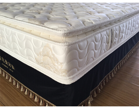 Dual pillow deals top mattress