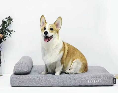 Pet mattress